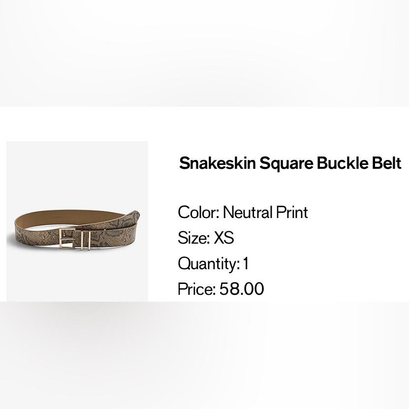 Express Snakeskin Belt